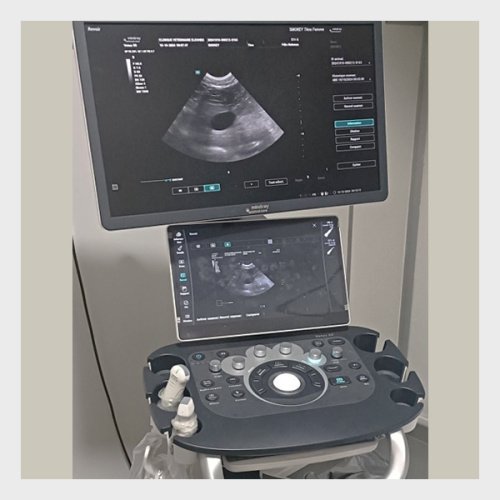 Sale! Mindray Vetus 50 Ultrasound Machine (USED)